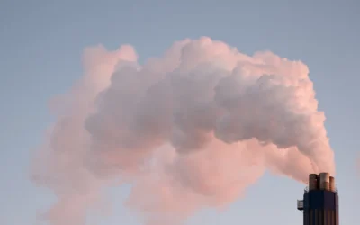 Common Sources of Toxic Exposure