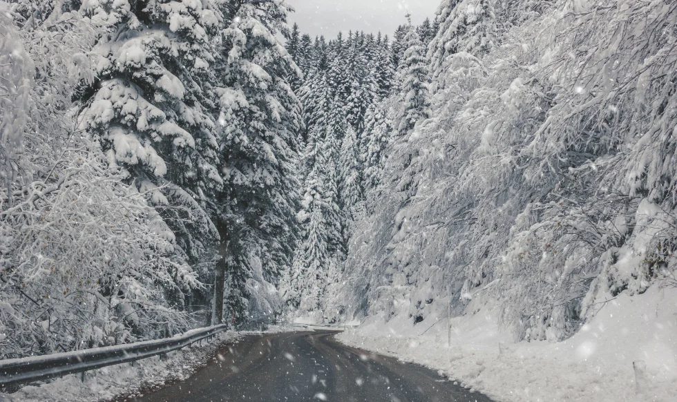 Common Causes of Rollover Accidents