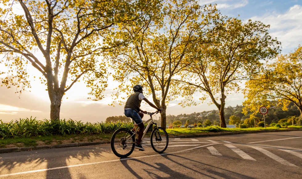 A cyclist wearing a helmet rides a bicycle on a sunny road surrounded by trees, highlighting the importance of road safety for cyclists.